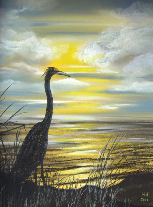 Reiher im Gegenlicht