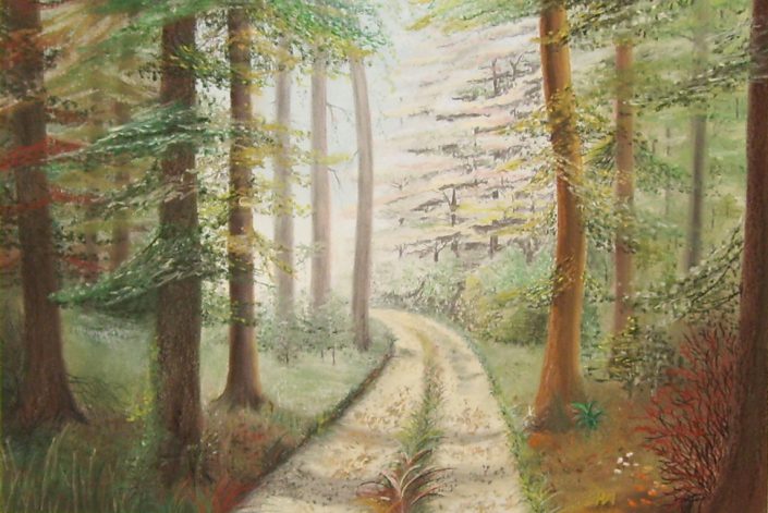Waldweg